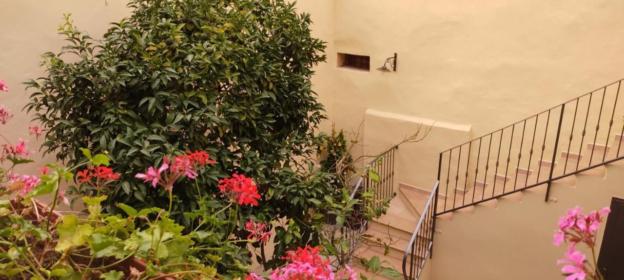 Domo Antiga Guest Rooms سورسو المظهر الخارجي الصورة