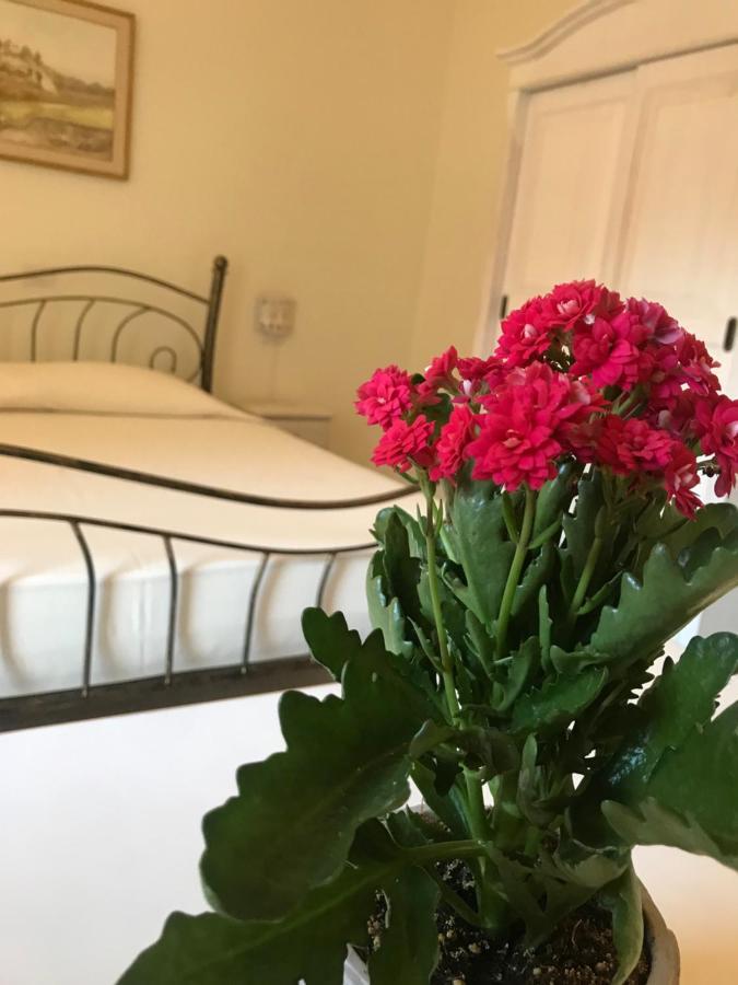 Domo Antiga Guest Rooms سورسو المظهر الخارجي الصورة